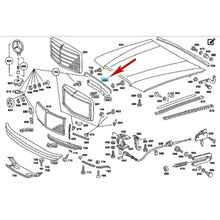 Load image into Gallery viewer, Chrome Radiator Grille Assembly to Hood Seal Gasket 1973-81 Mercedes 116 S Class