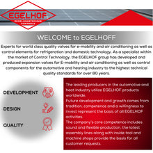 Load image into Gallery viewer, A/C Air Conditioning Evaporator Expansion Valve 1994-03 Mercedes 901 830 00 84