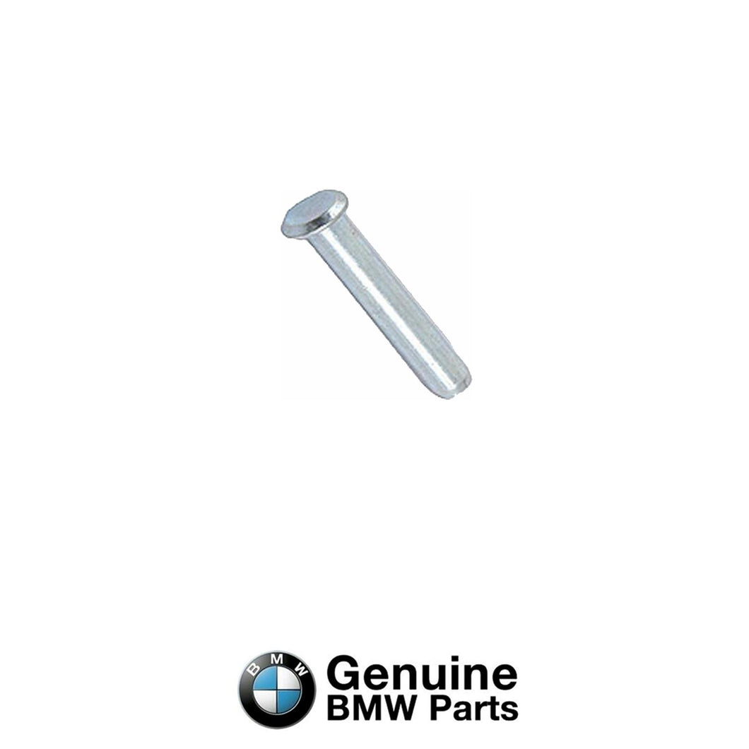 1967-77 BMW E9 E10 E12 Left or Right Front Door Brake Check Strap Rivet Genuine