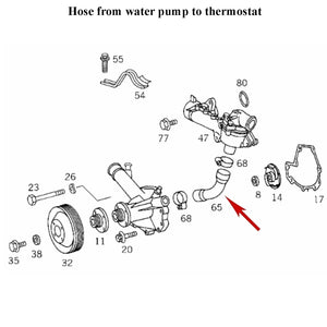 1994-04 Mercedes C220 C230 SLK230 Thermostat to Water Pump Hose 111 203 02 82