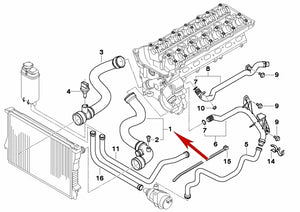 1999-03 BMW 525i 528i 530i Upper Radiator Hose with Bleeder Screw Rein CRP