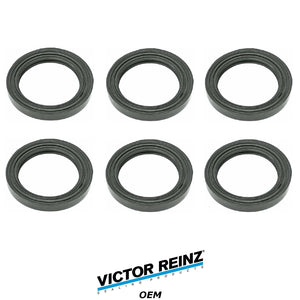 2001-08 BMW M3 Z3 M Z4 M S54 Set of 6 Valve Cover Spark Plug Hole Seal Gaskets