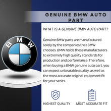 Load image into Gallery viewer, 2009-19 BMW 5 7 X5 X6 Front Brake Caliper Pad Slide Pin 34 11 6 776 934 OE BMW
