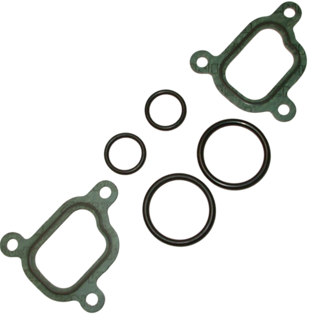 1993-03 BMW 5 7 8 X5 Z8 Water Accumulator Manifold Gasket & O-ring Kit 1 731 833