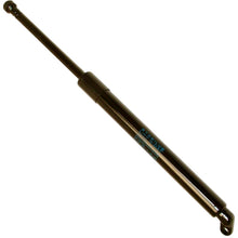 Load image into Gallery viewer, Left Right Trunk Lid Gas Support Lift Strut 1997-03 BMW E39 525 528 530 540 i M5
