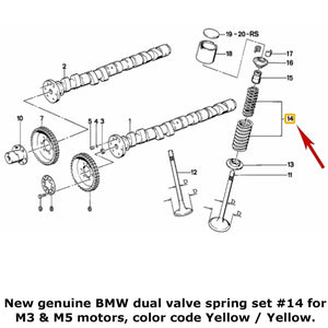 New Genuine NLA BMW Dual Valve Spring Set 1988-91 M3 1987-88 M6 11 34 1 312 704